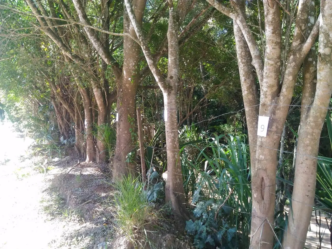 O que é Licenciamento Ambiental ?